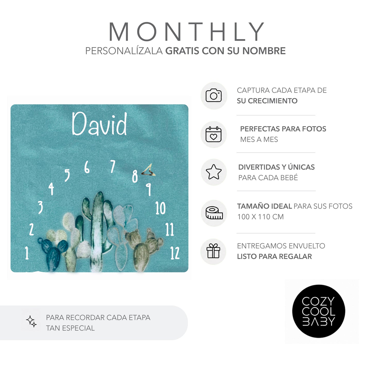 Monthly Blanket CACTUS