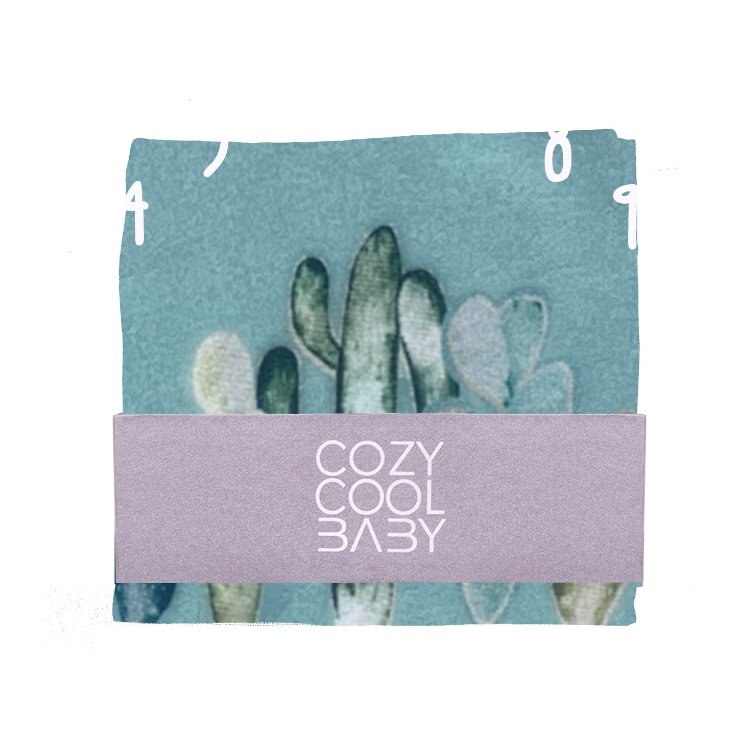 Monthly Blanket CACTUS