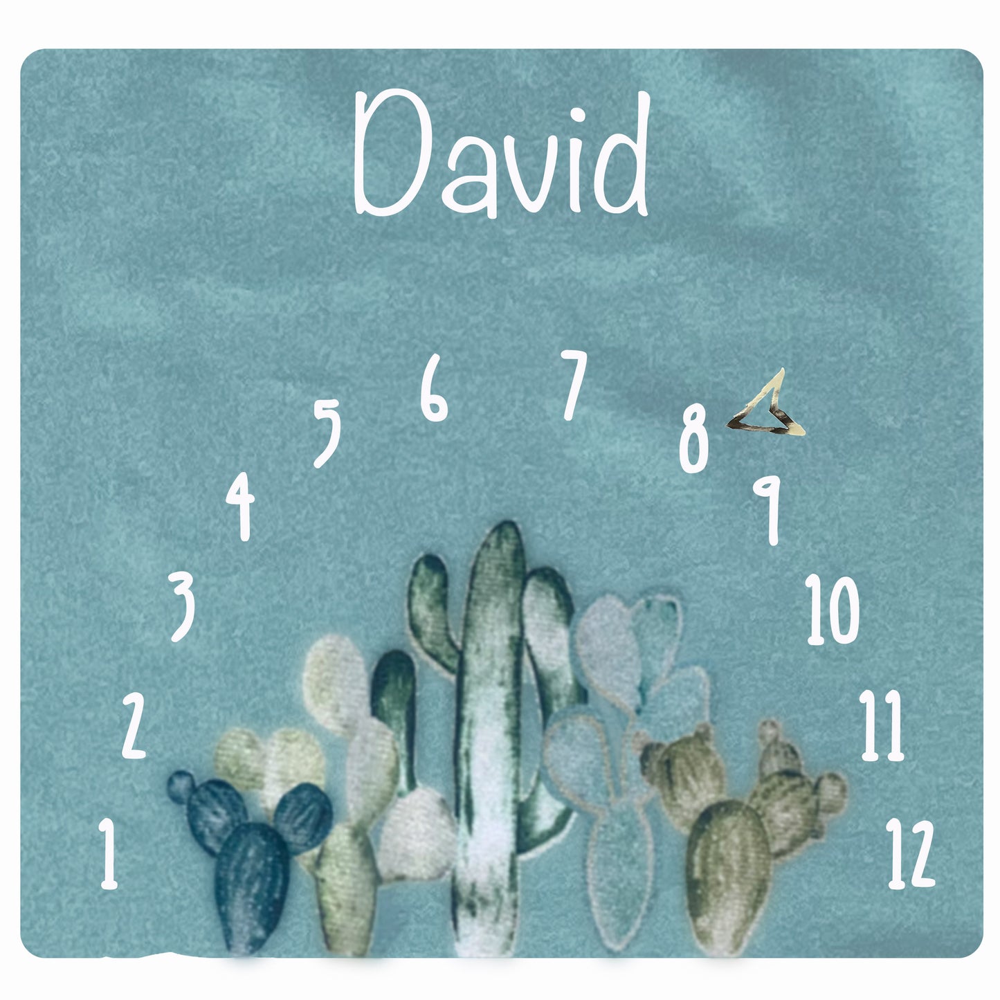 Monthly Blanket CACTUS