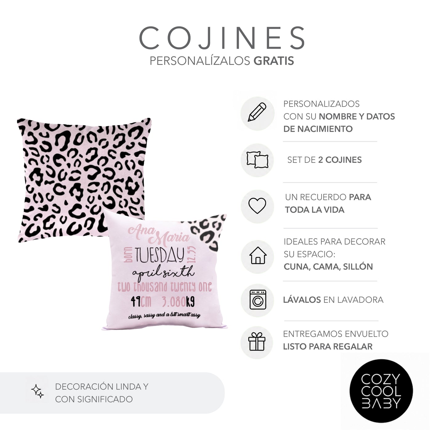 SET DE 2 COJINES CLASSY