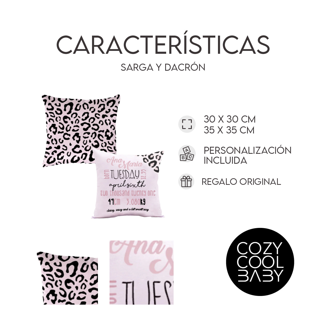 SET DE 2 COJINES CLASSY